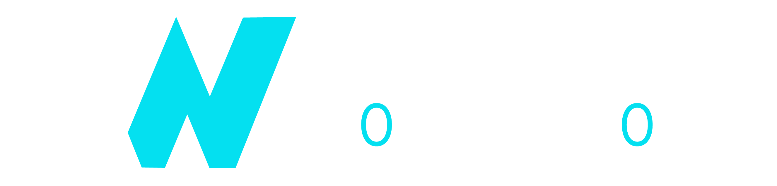 world wide estimating solutions logo white_1